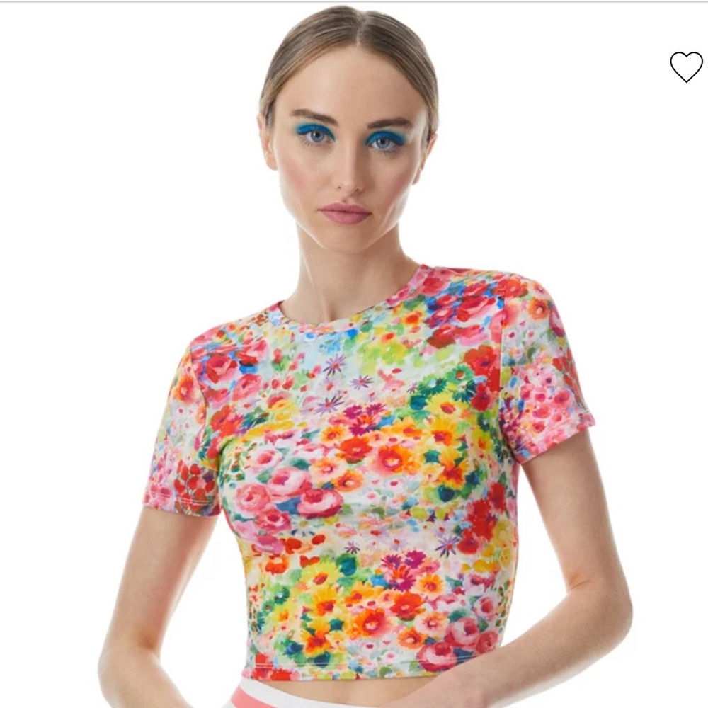 CINDY CLASSIC CROPPED TEE - size large
